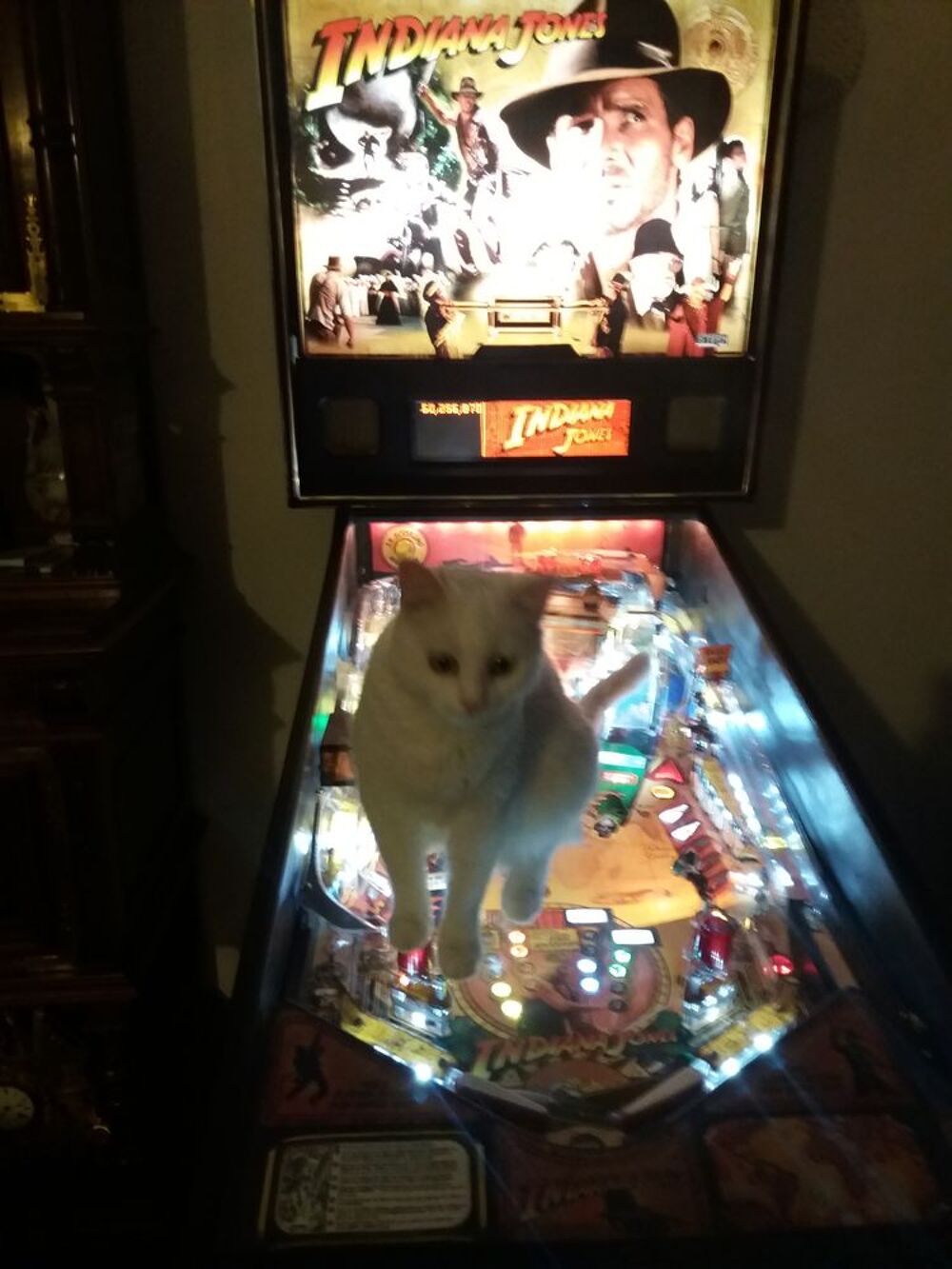 Collectionneur des sables d'Olonne recherche flipper de bar. Jeux / jouets