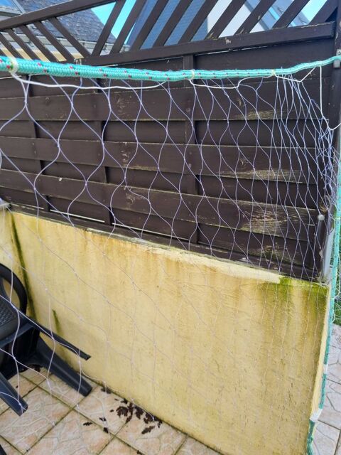 Divers Divers  occasion Riantec 56670