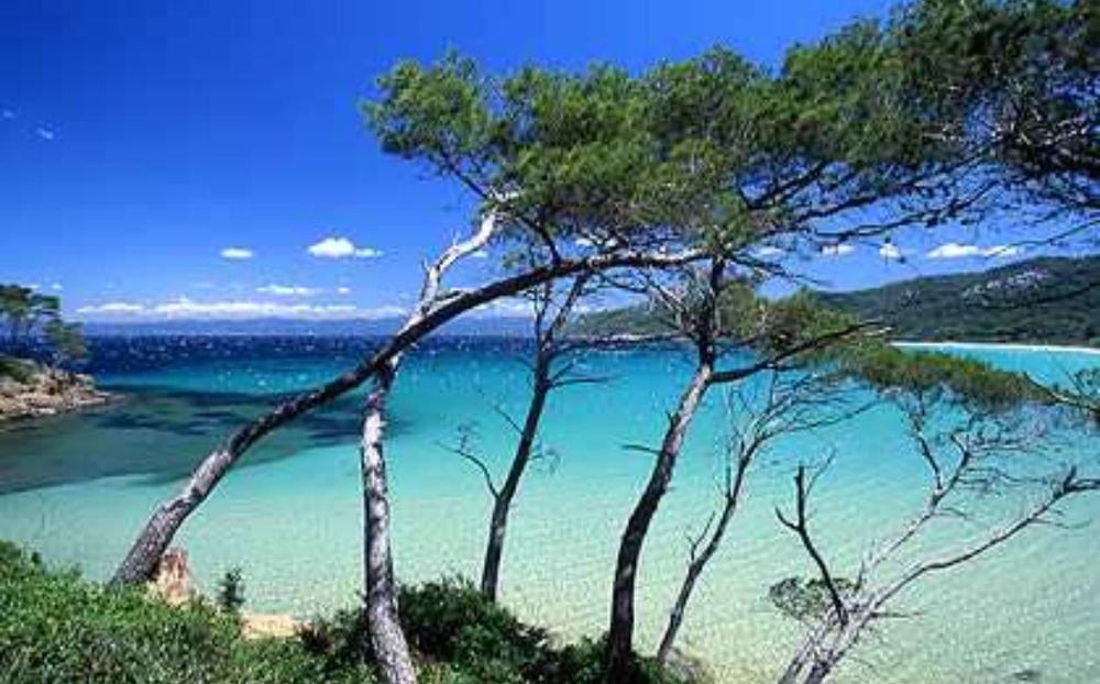   HEBERGEMENT INSOLITE - BATEAU A QUAI - ILE DE PORQUEROLLES  Vacances  / Offres de location 