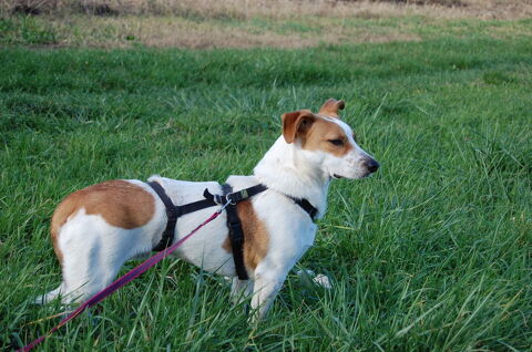 Skywalker  350 71370 Ouroux-sur-sane