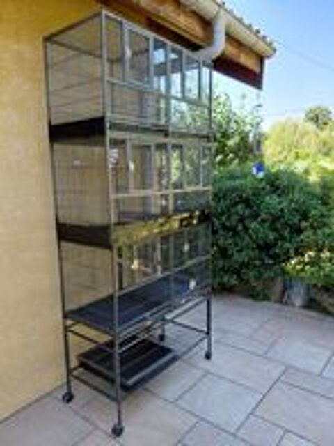   Grande cage  