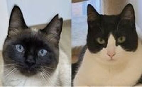   OSCAR et BETTY 