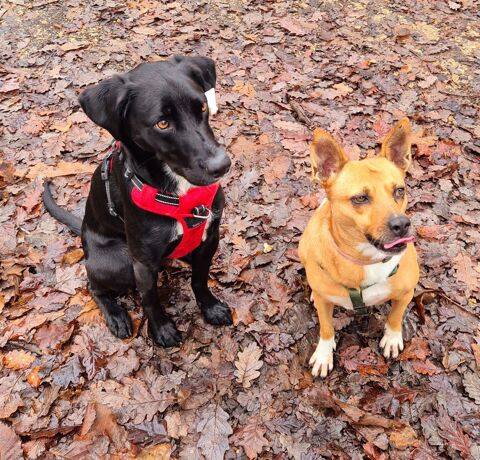 MOI LUCY 350 78000 Versailles