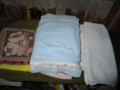 Serviettes ponge toilette 14 Quincy-sous-Snart (91)