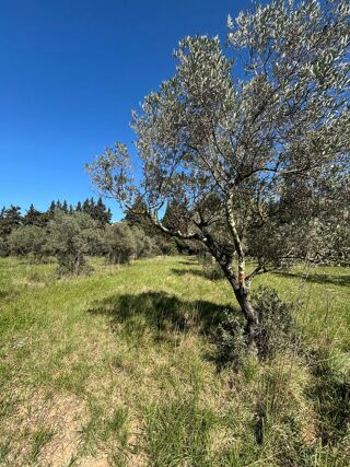  Terrain à vendre 2880 m² Maussane-les-alpilles