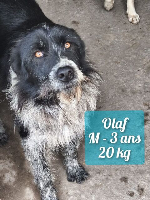 OLAF 0 75018 Paris