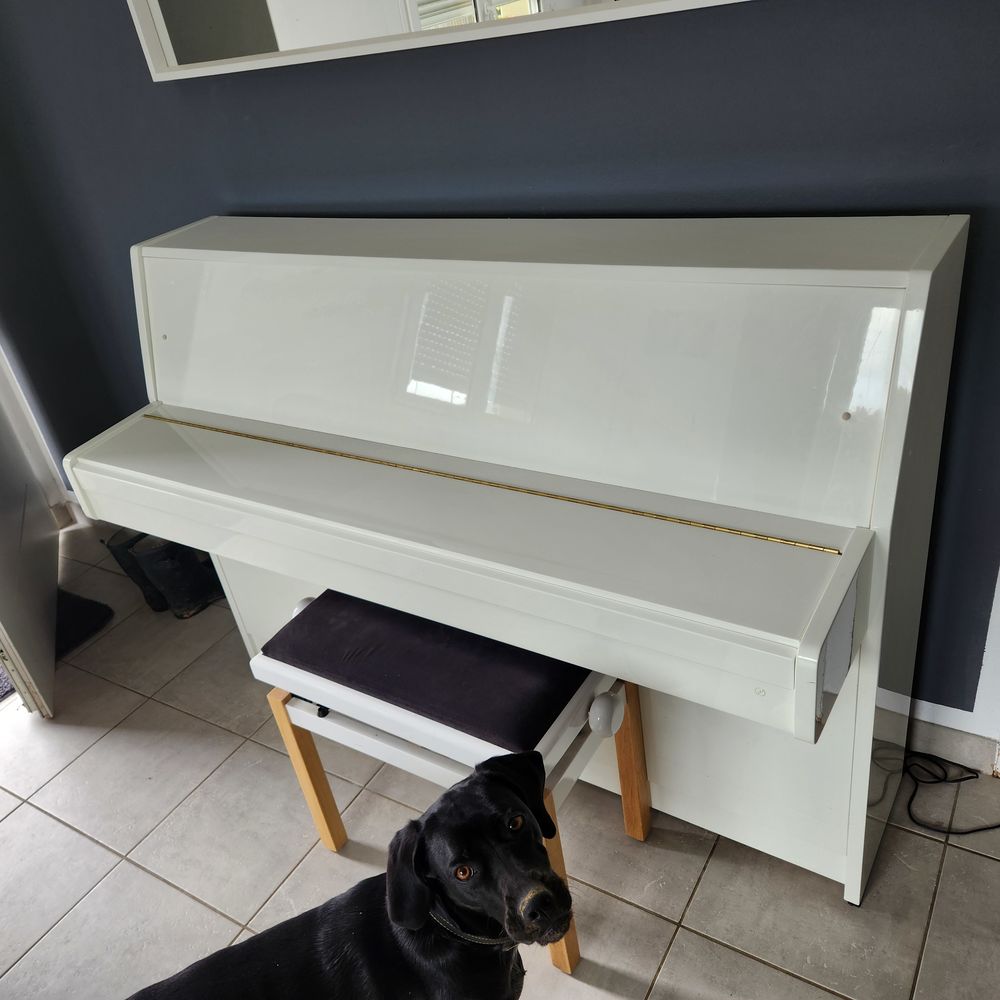 Piano Kawai CX-5 Instruments de musique