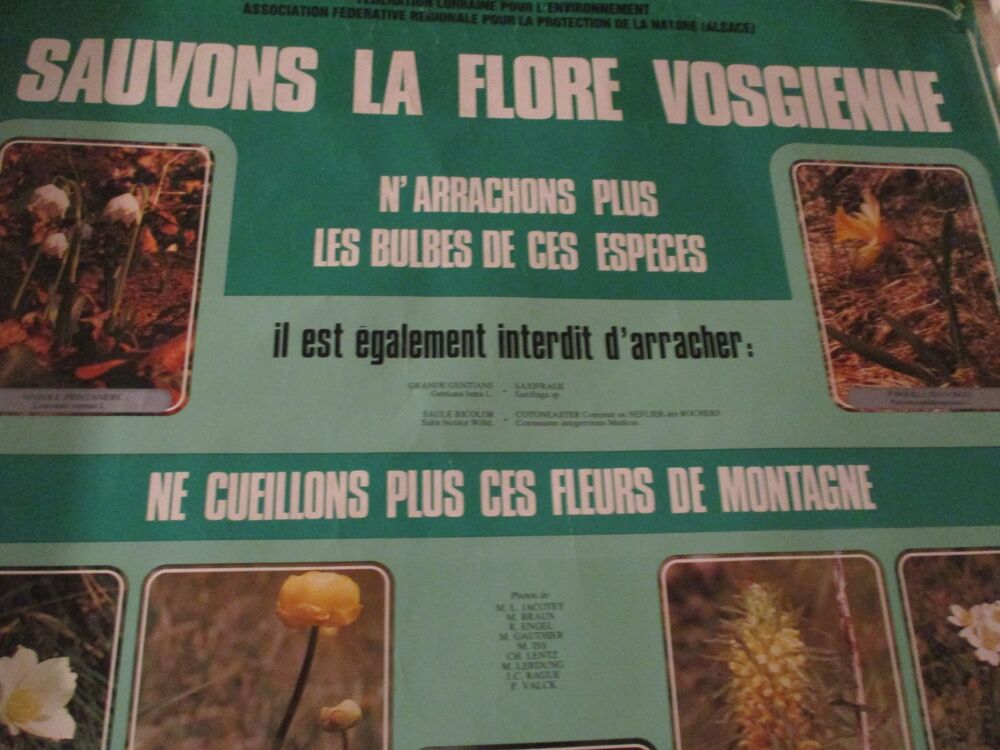 affiche sauvons la flore vosgienne Décoration