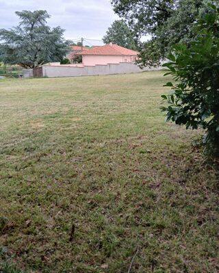  Terrain � vendre 905 m� Albi