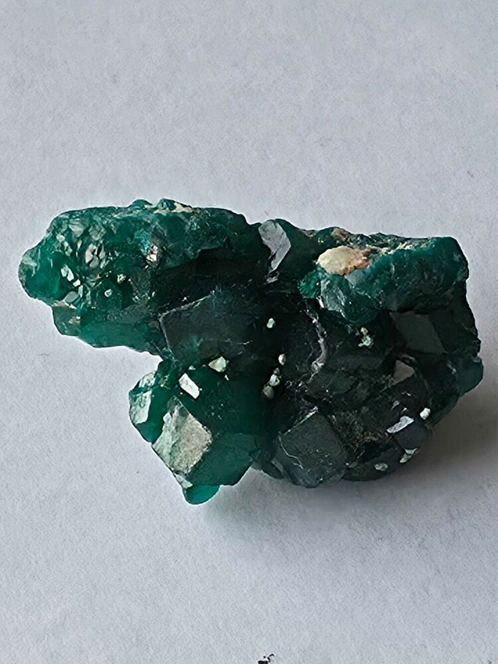 Dioptase sur Matrice-Katanga, RDC (5g) 