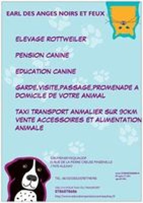   TAXI TRANSPORT ANIMALIERS FRANCE ET LOCAL 