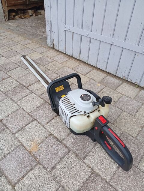 Taille haie 70 Candé-sur-Beuvron (41)