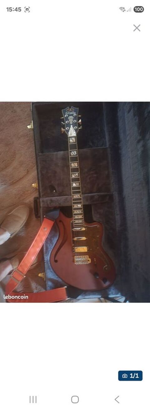 Guitare D Angelico deluxe bedford 1000 Lanslebourg-Mont-Cenis (73)