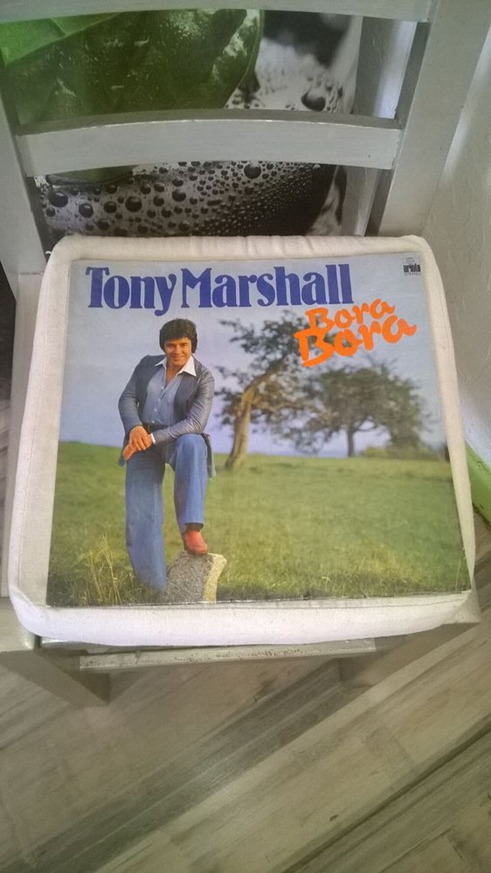 Vinyle Tony Marshall
Bora Bora
1978
Excellent etat
Bora CD et vinyles