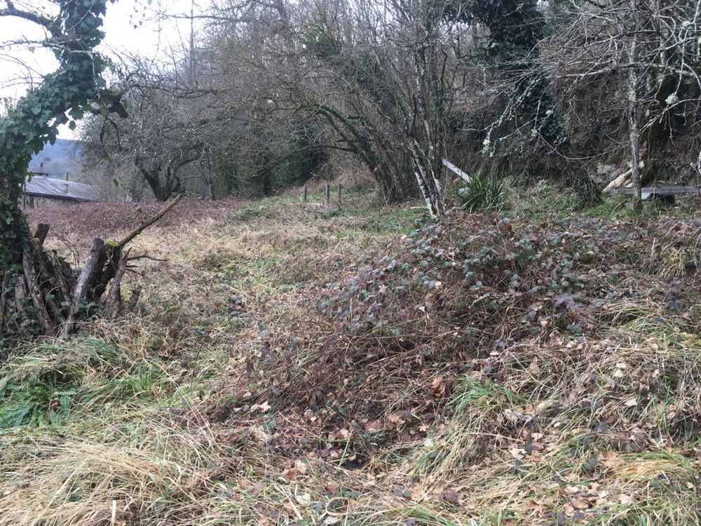 Location Terrain Terrain 5000 m² Castres