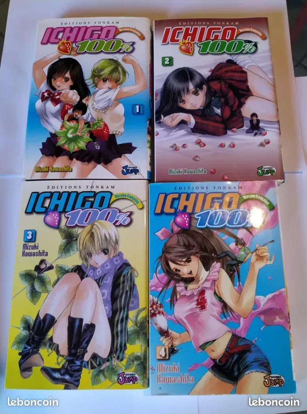 MANGA ANGEL SANCTUARY / ICHIGO Livres et BD