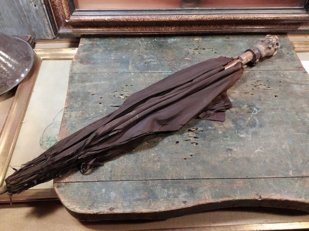 Ancienne Ombrelle XIX&egrave;me T&ecirc;te de Chien Foret Noire 