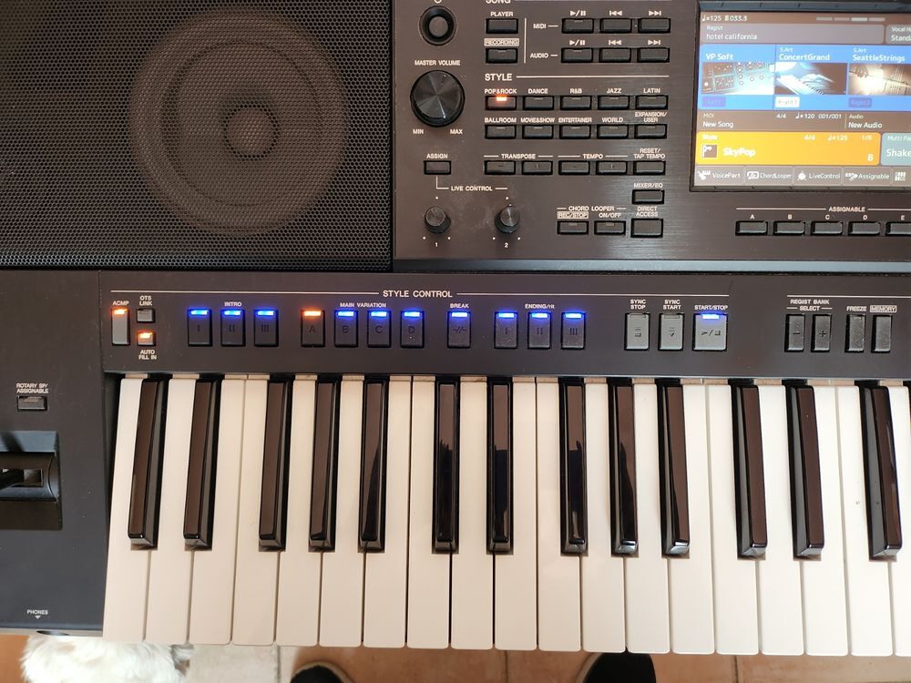 Yamaha PSR SX 900 Instruments de musique