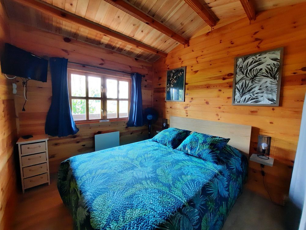 Vente Chalet Marne Lac du Der magnifique chalet Châtillon-sur-broué