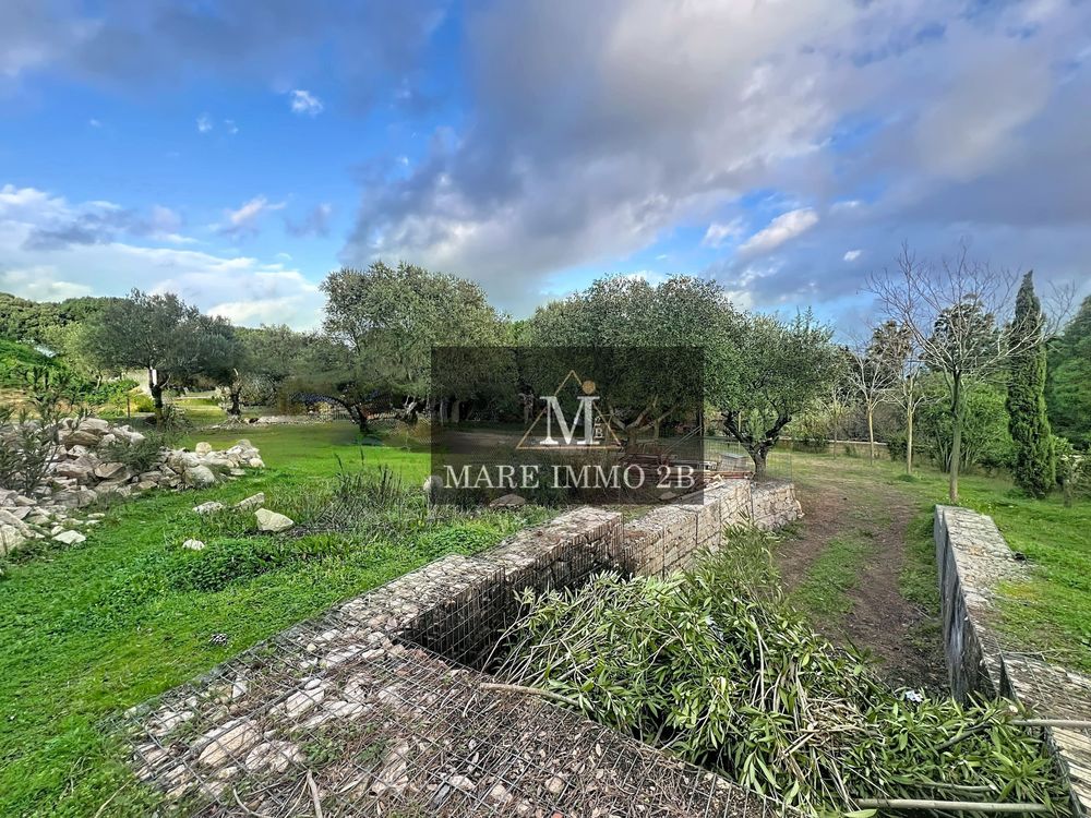 Vente Terrain terrain constructible de 500m² Calvi