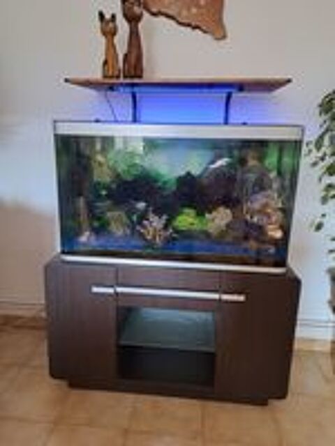   Aquarium 300 litres entièrement équipé
