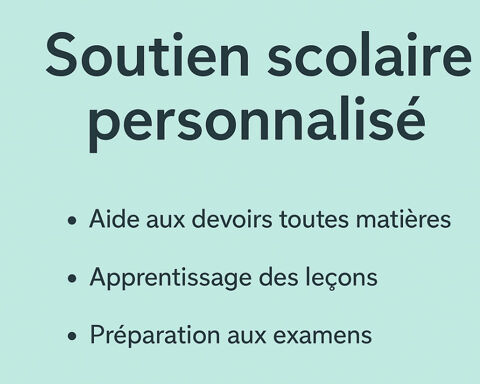 ? Cours particuliers pour réussir à l'école ? Tous niveaux 0 69007 Lyon