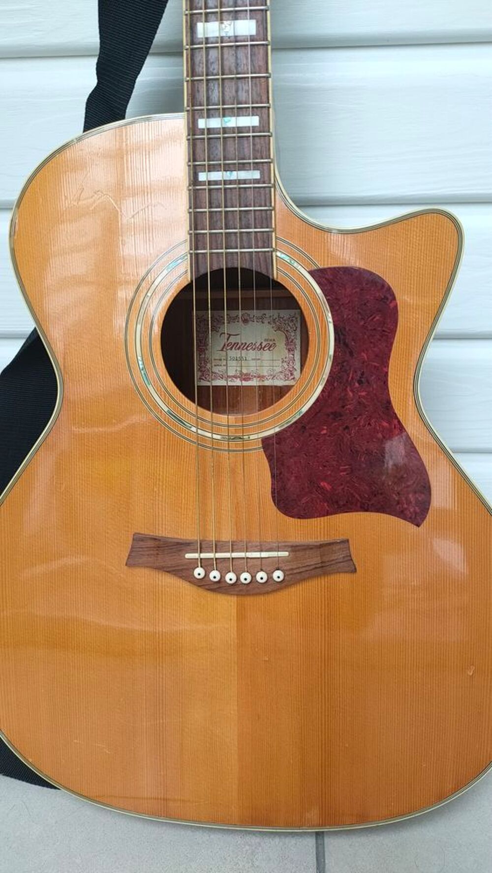 de guitare electro acoustique Instruments de musique