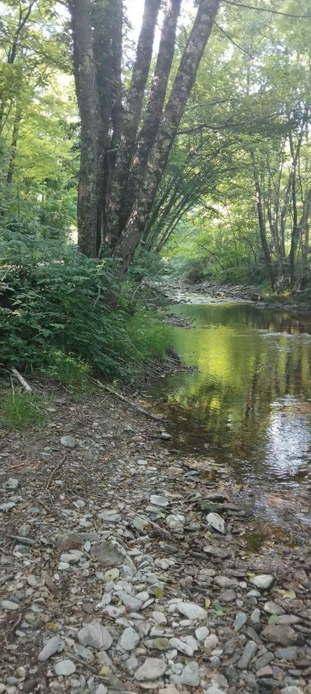 Location Maison semzaine/mois, .libre septembre, Saint-frézal-de-ventalon