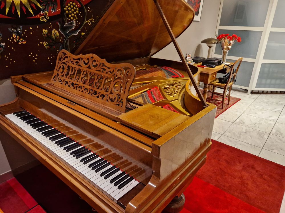  PIANO PLEYEL DEMI QUEUE ANCIEN RENOVE Instruments de musique
