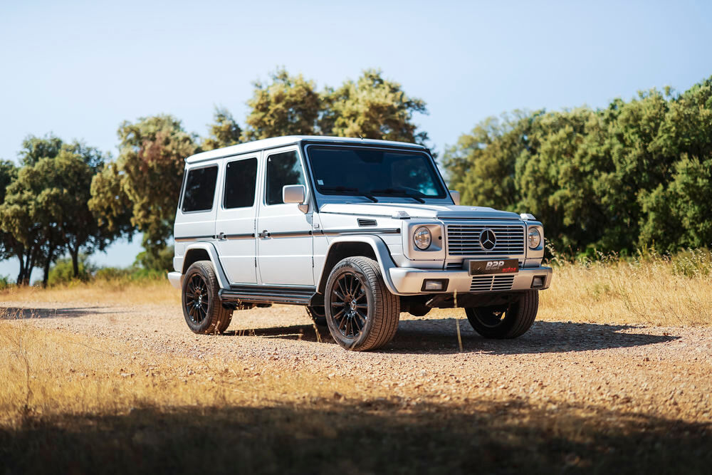 Classe G G Long 400 CDI A 2002 occasion 30132 Caissargues