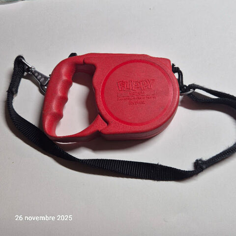 Laisse rétractable en nylon pour chien de compagnie, pour pe 5 Saumur (49)