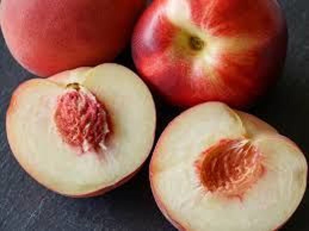 P&ecirc;che du jardin : 1 Euros le Kg 
Jardin
