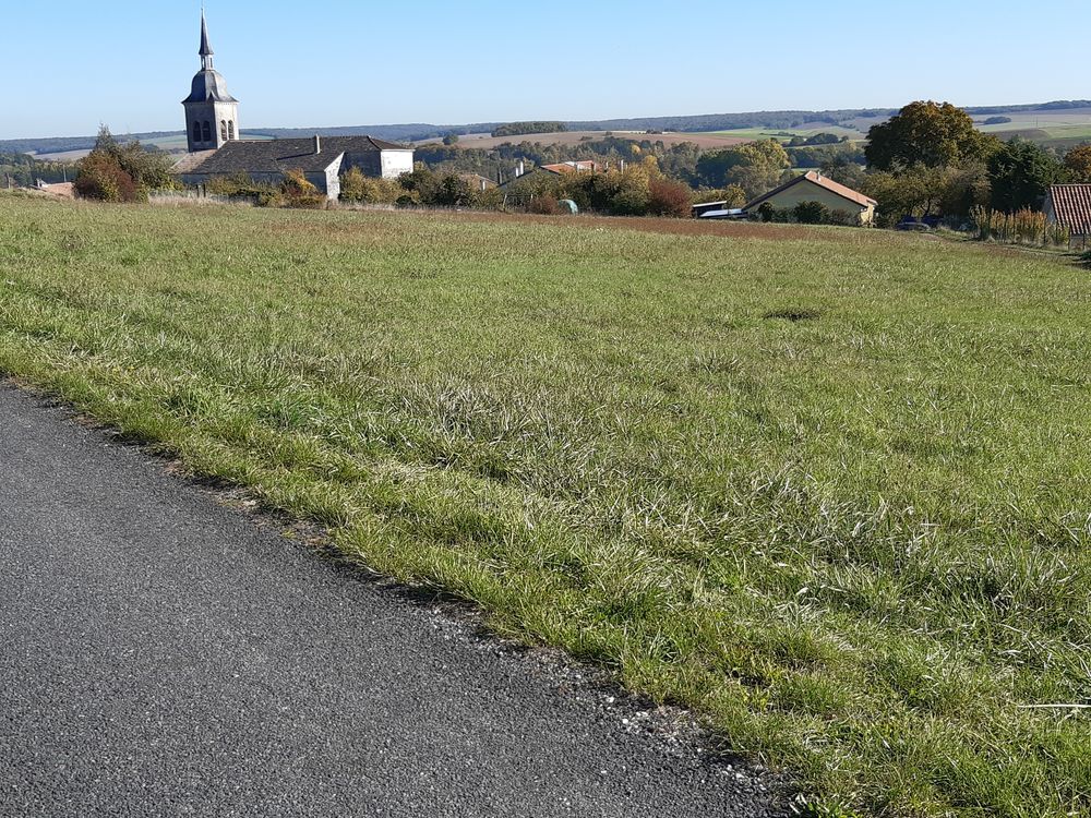 Vente Terrain Beau grand terrain BOUQUEMONT (axe Verdun - Saint Mihiel) Bouquemont