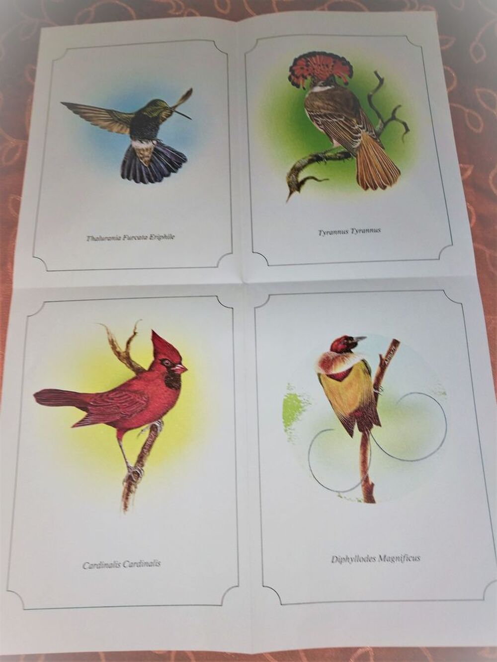 AFFICHE 4 OISEAUX 