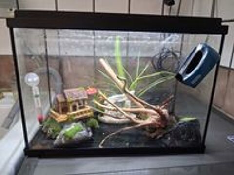   Aquarium état neuf complet 