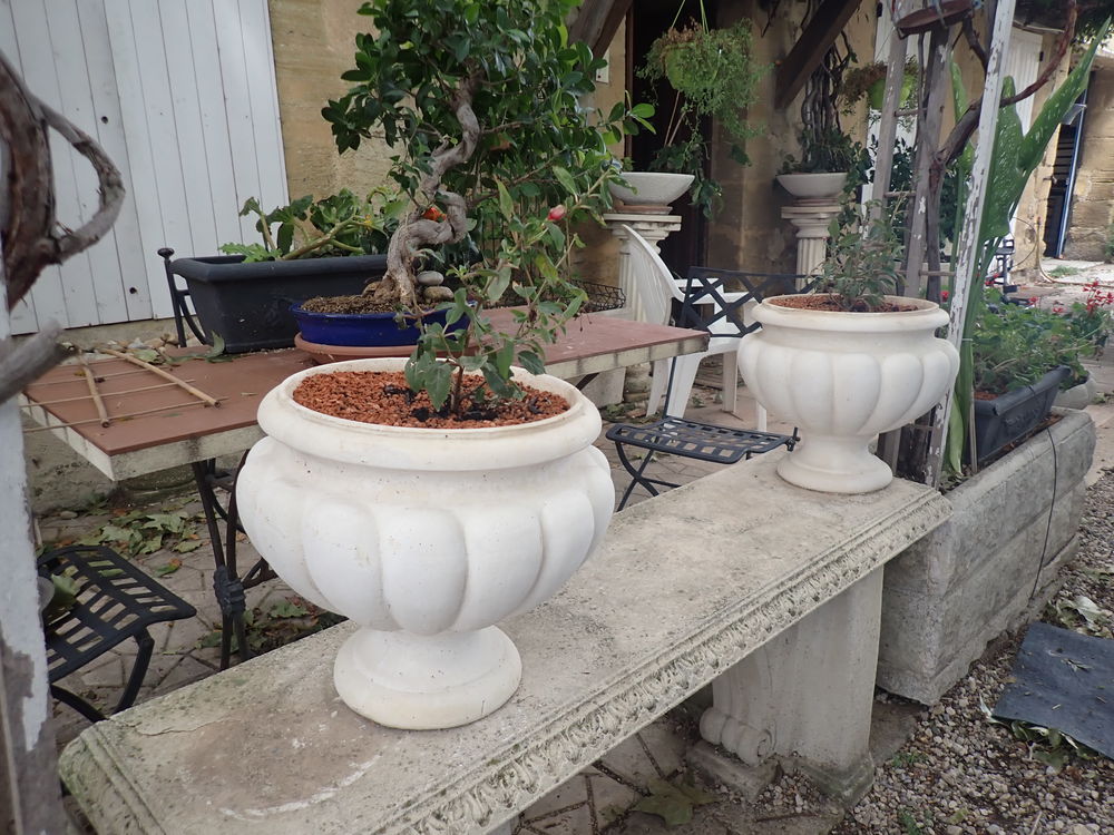 jolie vasques
cause demenagement Jardin