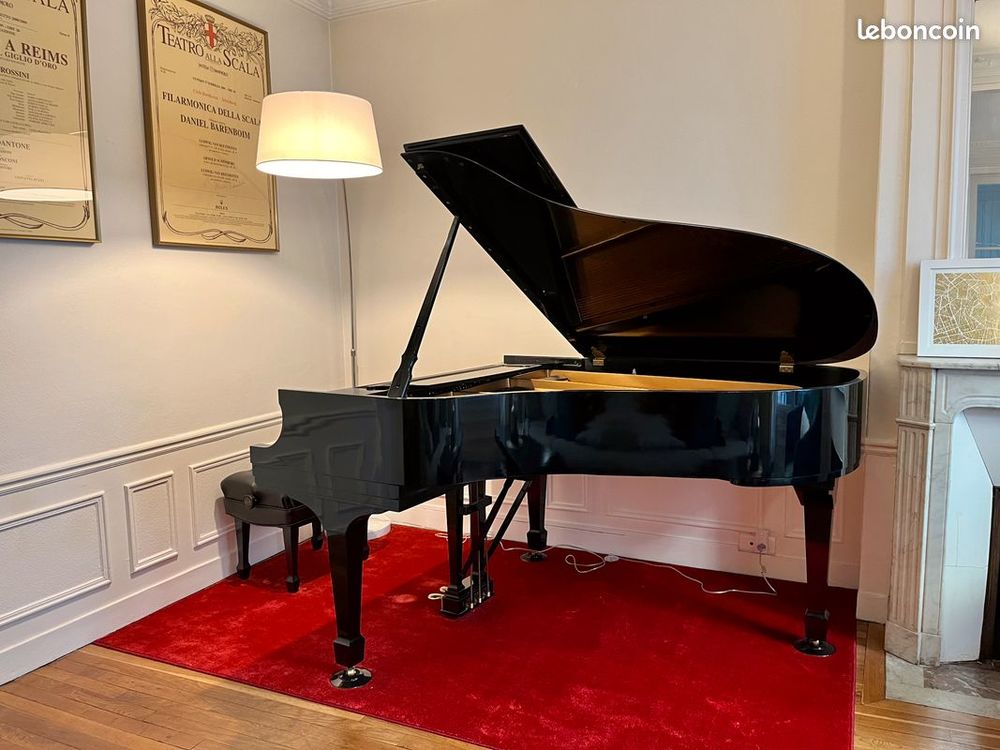 Piano &agrave; queue Steinway
Instruments de musique