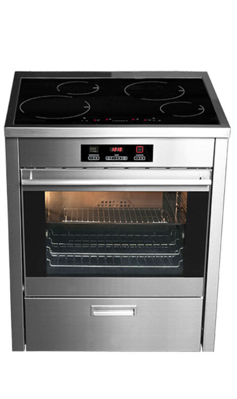 FOUR LECTRIQUE PRO + INDUCTION MR.COOK 2024 480 Paris 15 (75)