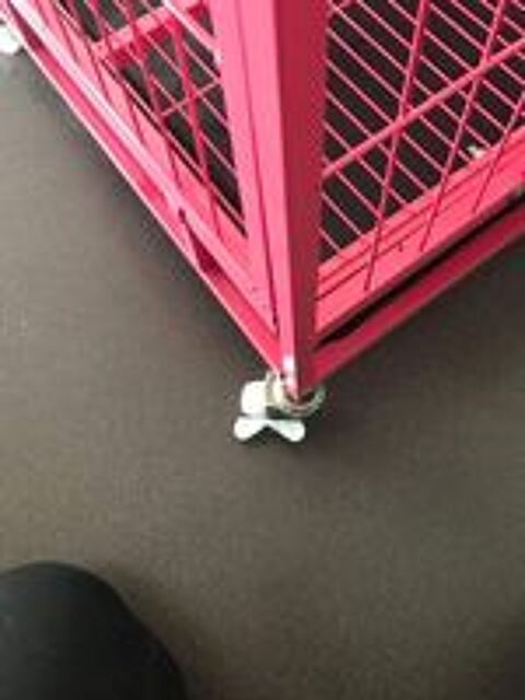  Cage pour chiens moyens 