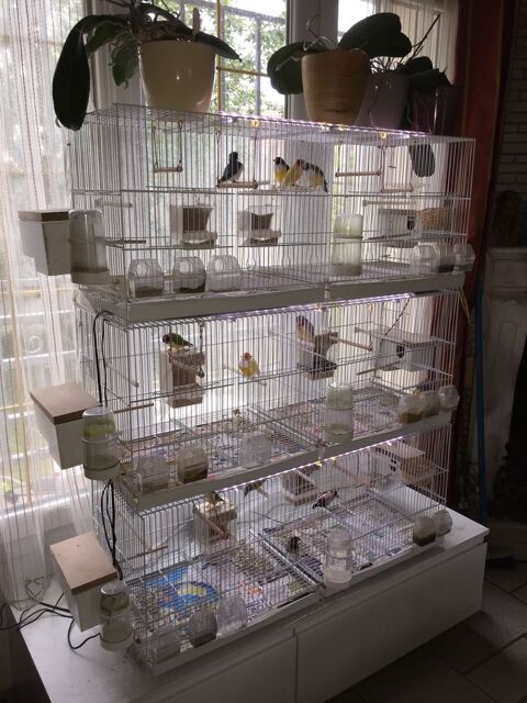 lot 3 cages volières avec accessoires pour oiseaux 280 91550 Paray-vieille-poste