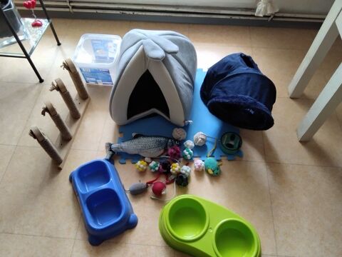 Divers accessoires pour chat ? ou petit chien ? 35 34000 Montpellier