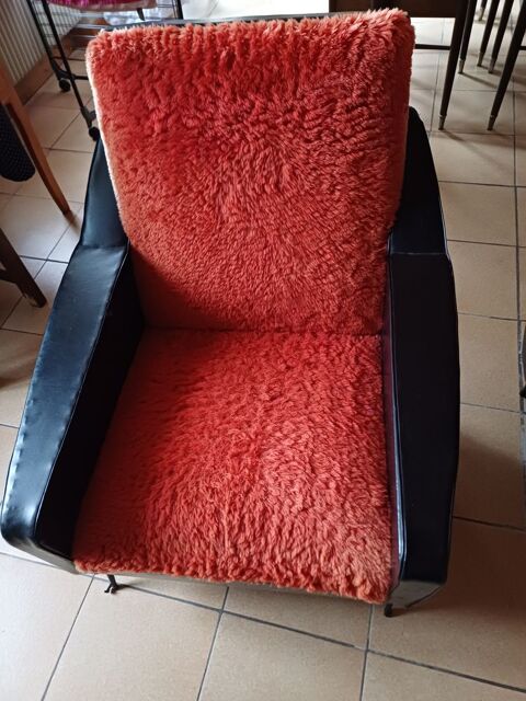 Fauteuil  vintage 100 Dou�-la-Fontaine (49)