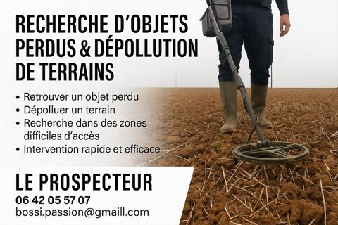 RECHERCHE D'OBJETS PERDUS & DàPOLLUTION DE TERRAINS 0 54610 Nomeny
