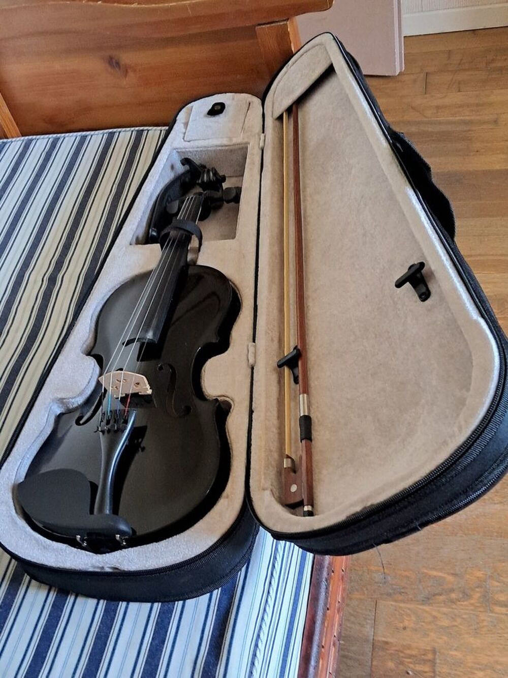 violon Instruments de musique