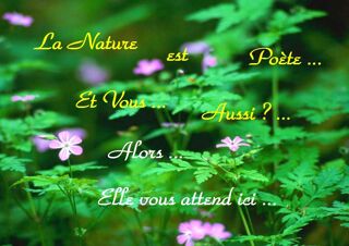  Maison � vendre 2/3 pi�ces 47 m�