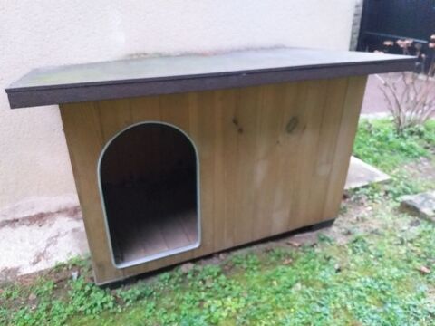 Maison chien 60 Versailles (78)