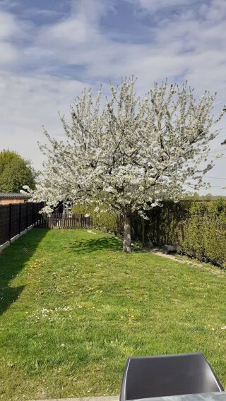  Maison à vendre 6 pièces 123 m²