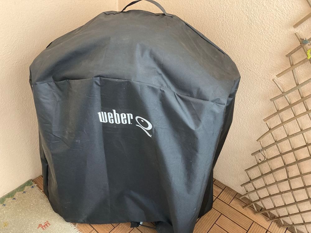 Barbecue Weber &eacute;lectrique Q240 Jardin