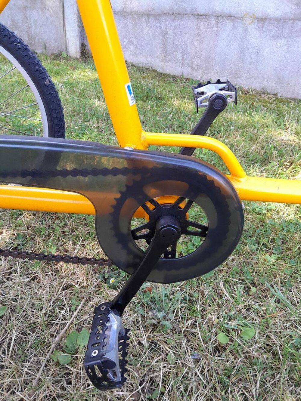 Tricycle adulte Sports