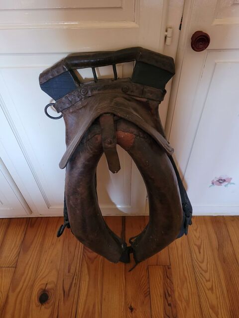 colier de cheval 40 Bouvellemont (08)